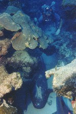 Me at 85' with friends on North Wall